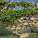Apartamento Balatoni Panoráma - Bacchus Badacsony Badacsonytomaj