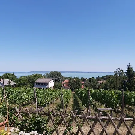 Balatoni Panorama - Bacchus Badacsony アパート