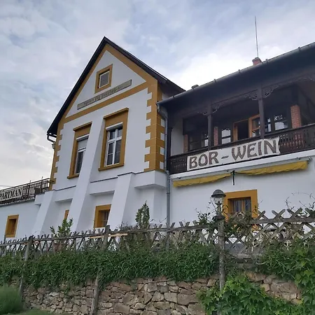 Balatoni Panorama - Bacchus Badacsony * バダチョニトマイ