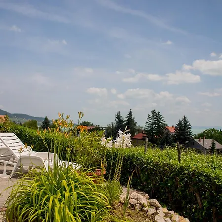 Balatoni Panorama - Bacchus Badacsony 公寓 包道乔尼托毛伊