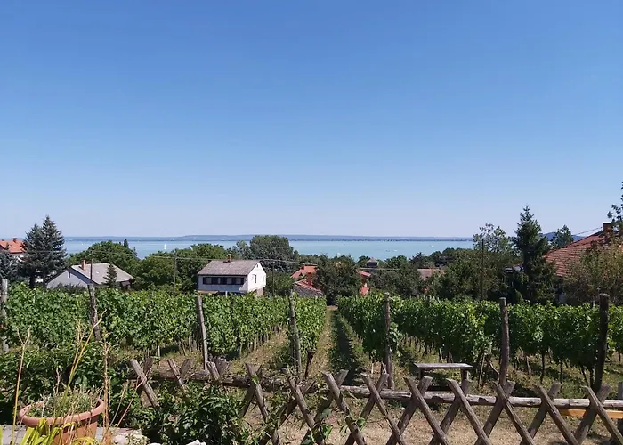 Balatoni Panoráma - Bacchus Badacsony Apartamento