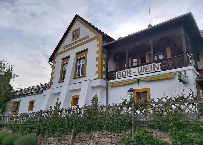 Balatoni Panoráma - Bacchus Badacsony * Badacsonytomaj