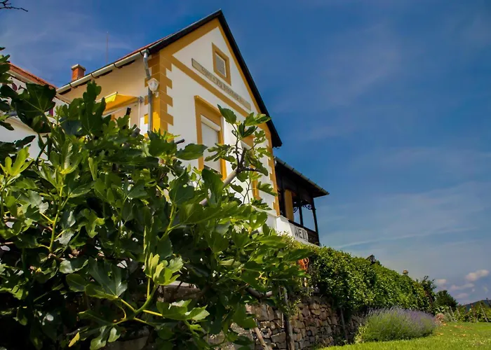 Balatoni Panoráma - Bacchus Badacsony Apartamento