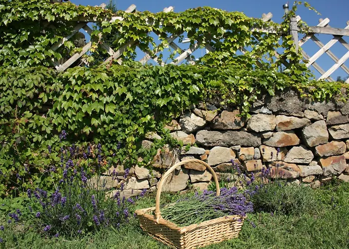 Apartament Balatoni Panorama - Bacchus Badacsony Badacsonytomaj