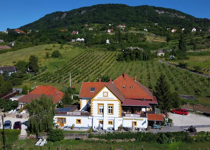 Balatoni Panoráma - Bacchus Badacsony